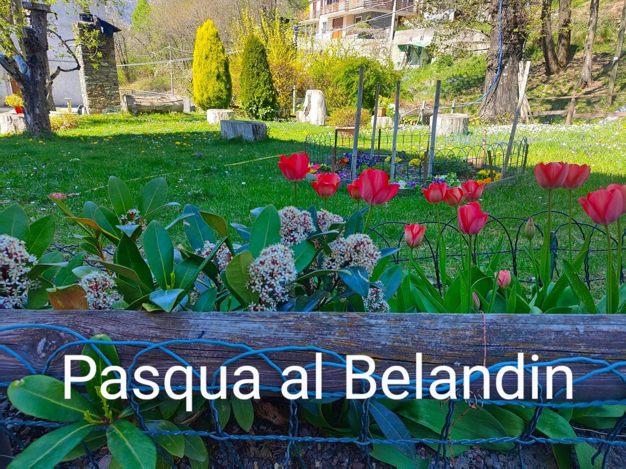 Belandin Ristorante Hotel Teglio Bagian luar foto